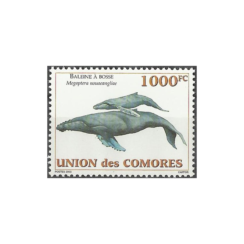 2003 - Mi 1794 - cétacés : baleine à bosse - 1000 fc **