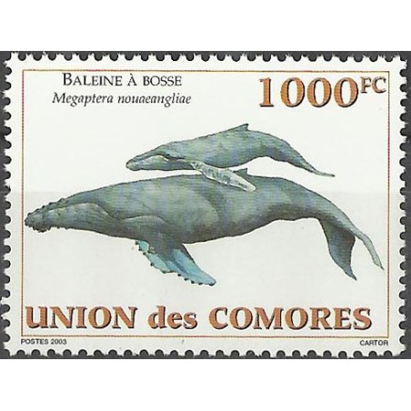 2003 - Mi 1794 - cétacés : baleine à bosse - 1000 fc **