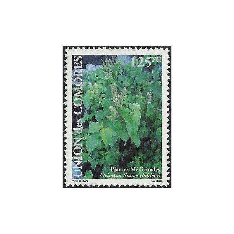 2007 - Medicinal plants: Ocimum suave - 125 fc - MNH