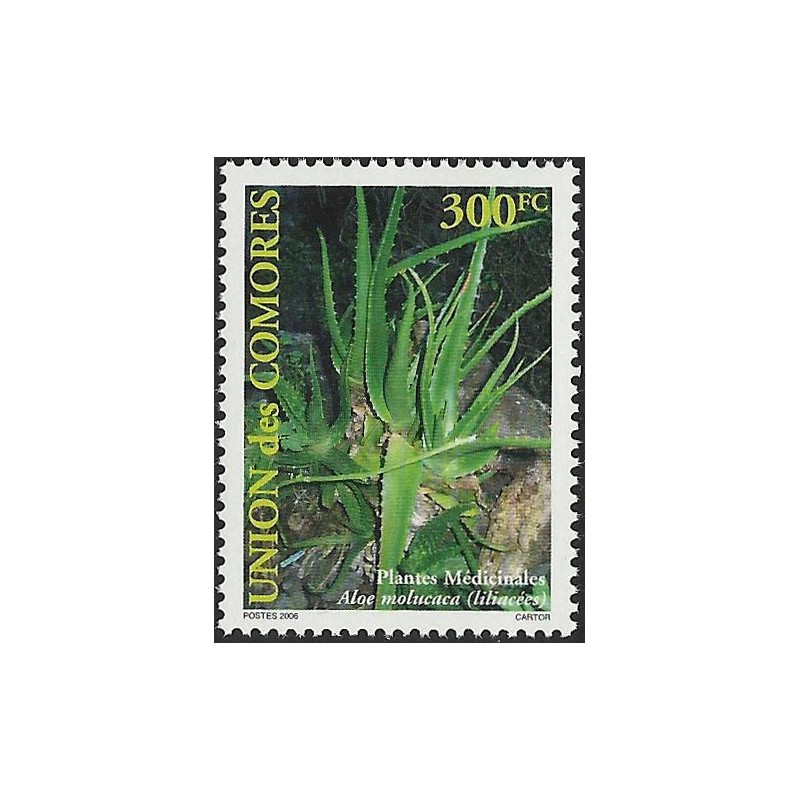 2007 - Medicinal plants: Ocimum suave - 300 fc - MNH