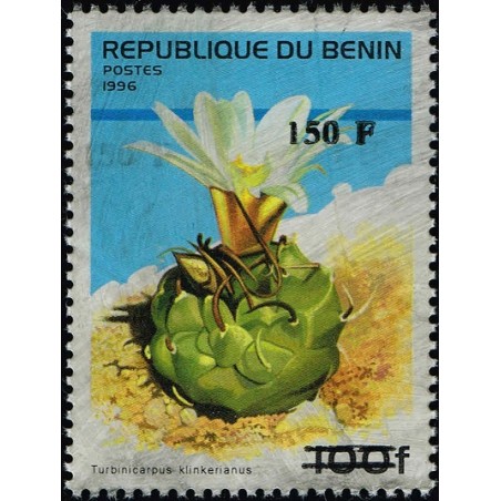 Bénin 2000 - Mi 1284 - surcharge locale 150 f - Cactus "turbinicarpus klinkerianus" - cote 100 € **