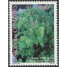 2007 - Plantes médicinales : Ocimum suave - 500 fc **