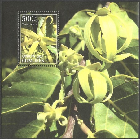 2011 - Plantes des Comores : ylang ylang - feuillet **