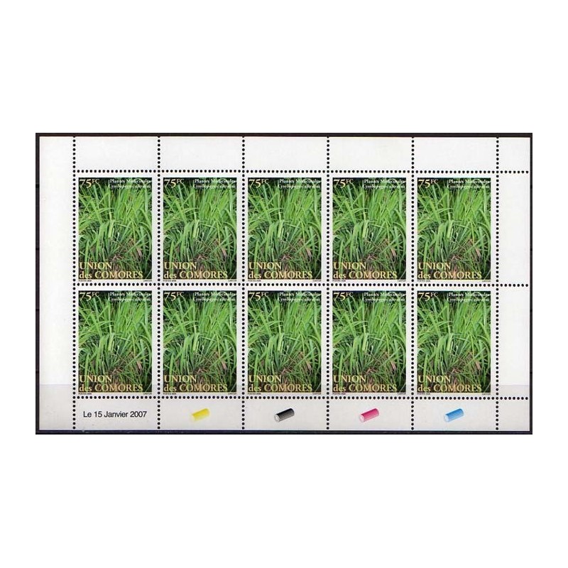2007 - Medicinal plants: complete set - 6 sheetlets - MNH