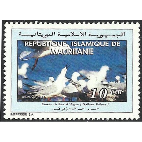 Mauritanie 1994 - Mi 1025 - oiseau du PNBA (goéland railleur) - 10 UM **