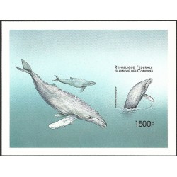 Comoros 1999 - Mi block 402 - Whale - UNPERFORATED - MNH