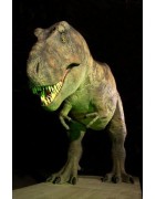Animaux prehistoriques